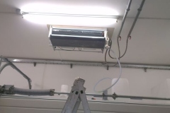 IMAG0250