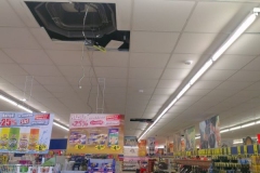 IMAG0251