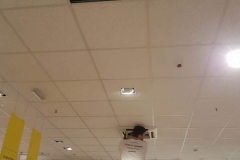 image-0-02-05-b54ce047c3ea4f3f9abd33dd7ac11539bcd68b7aa2ec1528b5bca32fc13bbece-V